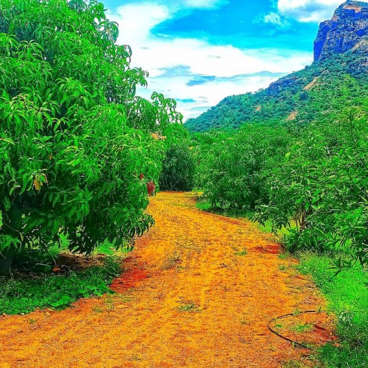 Single Property Image