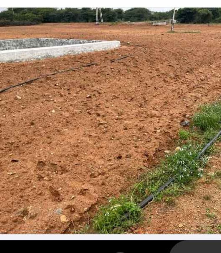 5 Acre Land for Sale in Saalakadai